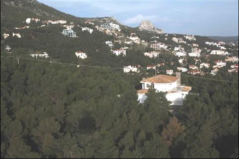 12 ΦΩΤΟ ΔΑΣΟΣ