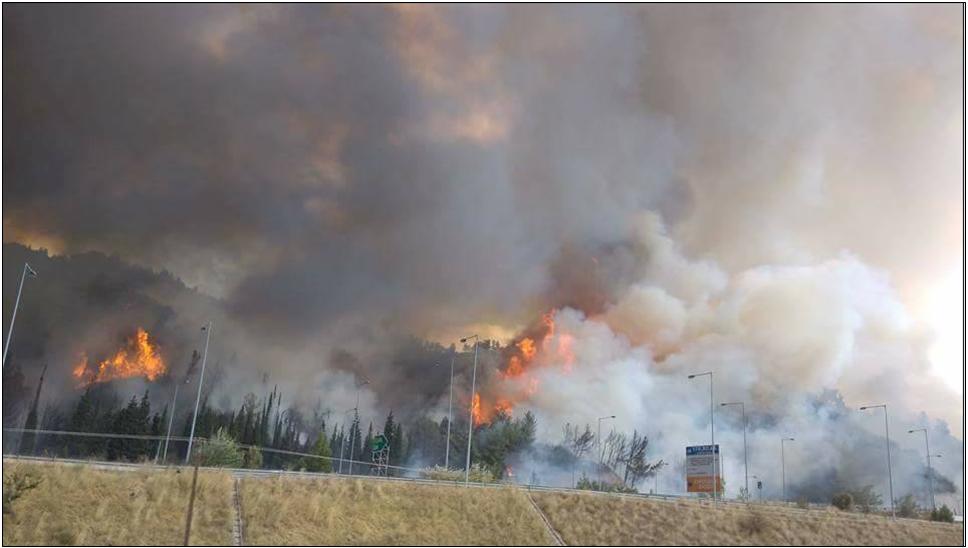 15 ΦΩΤΟ ΦΩΤΙΑ 1