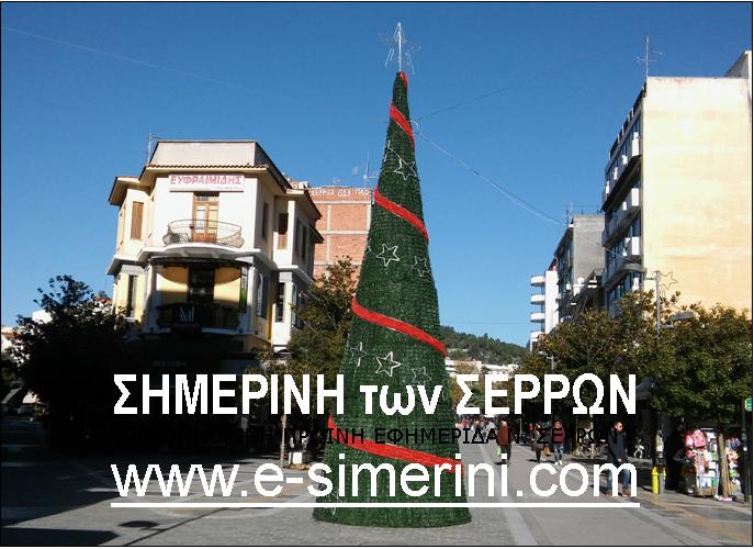 22 ΦΩΤΟ ΔΕΝΤΡΟ