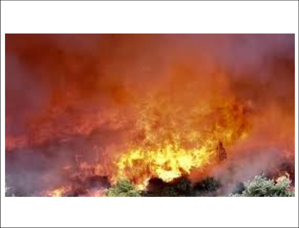 ΠΡΩΤΟΒΟΥΛΙΕΣ ΑΛΛΗΛΕΓΓΥΗΣ ΓΙΑ ΤΟΥΣ ΠΥΡΟΠΛΗΚΤΟΥΣ ΤΗΣ ΑΤΤΙΚΗΣ