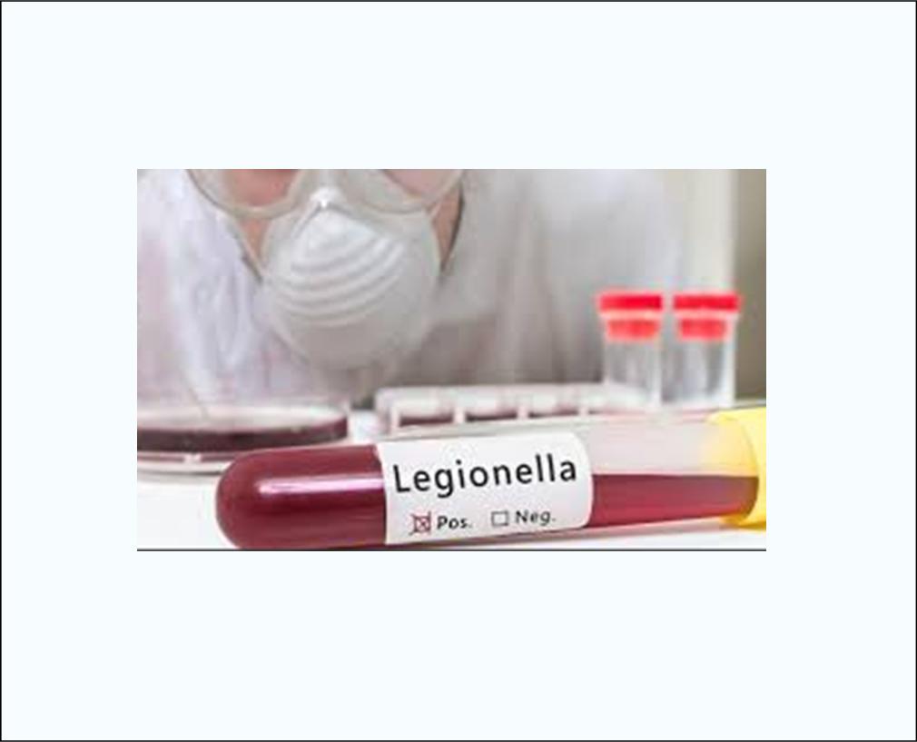 10 ΦΩΤΟ ΚΕΛΠΝΟ