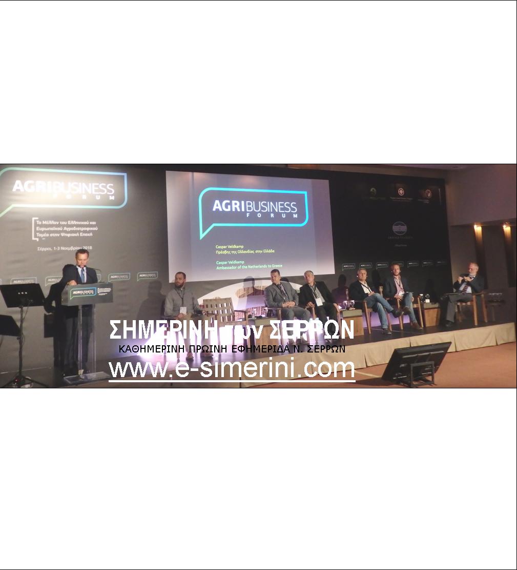 13 ΦΩΤΟ ΦΟΡΟΥΜ ΣΕΡΡΕΣ