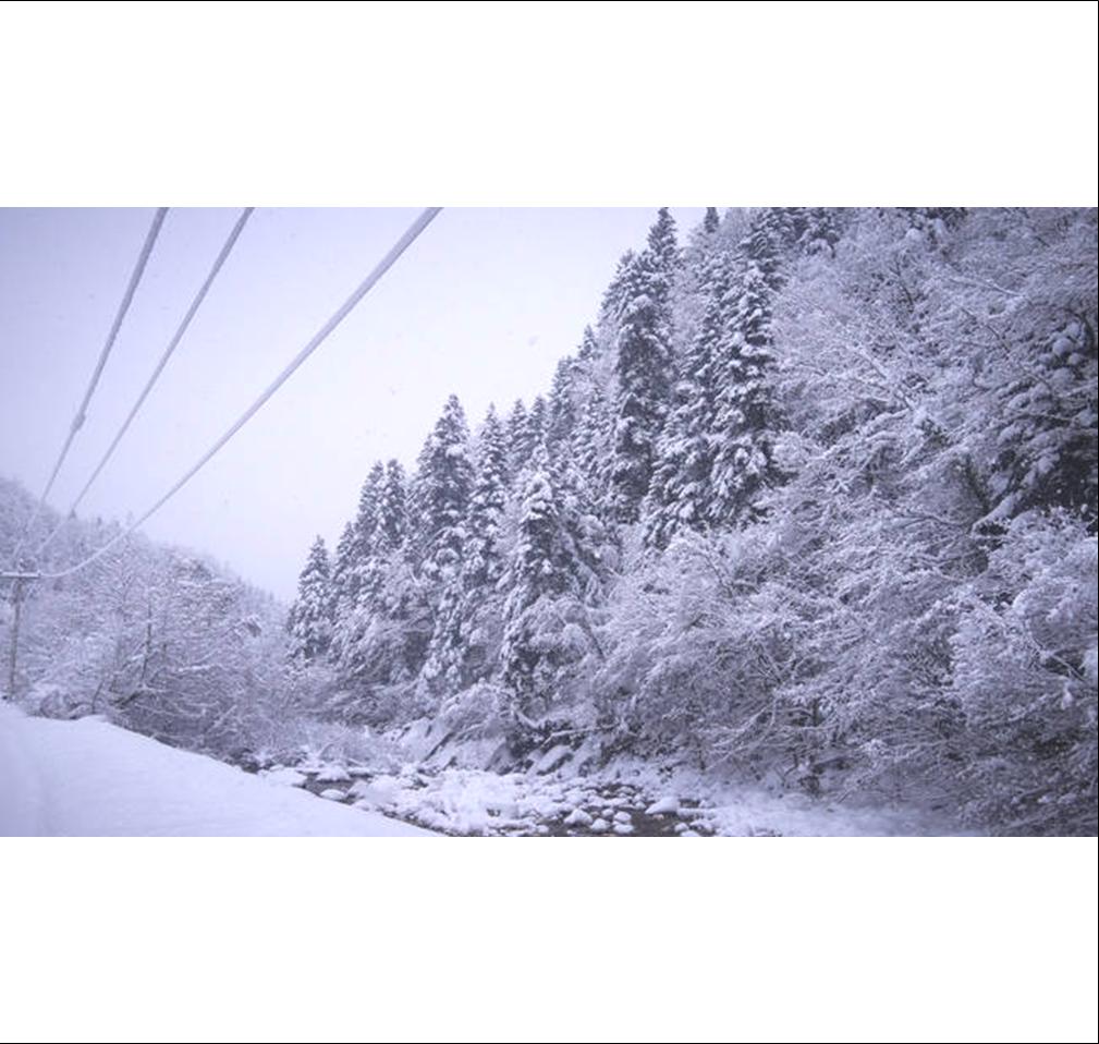 11 ΦΩΤΟ ΠΑΓΩΝΙΑ 1