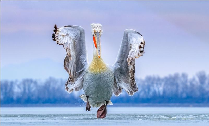 ΟΡΚΙΣΤΗΚΕ Ο ΝΕΟΣ ΔΗΜΑΡΧΟΣ ΑΜΦΙΠΟΛΗΣ, ΣΤΕΡΓΙΟΣ ΦΡΑΝΣΤΑΝΛΗΣ, ΤΑ ΜΕΛΗ ΤΟΥ ΔΗΜΟΤΙΚΟΥ ΣΥΜΒΟΥΛΙΟΥ ΚΑΙ ΤΩΝ ΤΟΠΙΚΩΝ ΚΟΙΝΟΤΗΤΩΝ