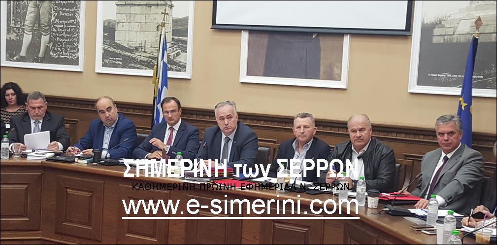 14 ΦΩΤΟ 2019 11 20 ΔΗΜΟΤΙΚΟ ΣΥΜΒΟΥΛΙΟ ΣΕΡΡΩΝ