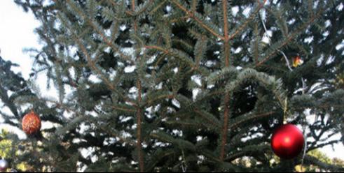 8 ΦΩΤΟ 2019 11 19 ΑΡΓΙΕΣ