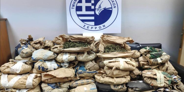 ΣΥΝΕΛΗΦΘΗ ΗΜΕΔΑΠΟΣ ΣΤΙΣ ΣΕΡΡΕΣ ΓΙΑ ΚΑΤΟΧΗ ΚΑΙ ΚΑΛΛΙΕΡΓΕΙΑ ΚΑΝΝΑΒΗΣ