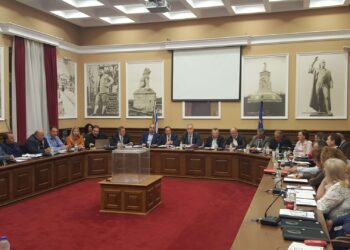 ΔΗΜΙΟΥΡΓΙΑ –ΚΑΤΑΣΚΕΥΗ ΚΑΤΑΦΥΓΙΟΥ ΑΔΕΣΠΟΤΩΝ ΖΩΩΝ ΣΥΝΤΡΟΦΙΑΣ  ΣΤΟ ΔΗΜΟ ΕΜΜΑΝΟΥΗΛ ΠΑΠΠΑ