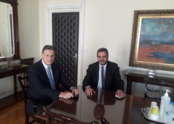 ΘΕΟΦΙΛΟΣ ΛΕΟΝΤΑΡΙΔΗΣ ΔΗΛΩΣΗ ΓΙΑ ΤΗ ΧΟΡΗΓΗΣΗ ΕΠΙΔΟΜΑΤΟΣ ΤΗΛΕΘΕΡΜΑΝΣΗΣ 