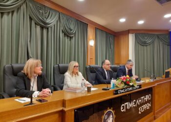 ΕΝΗΜΕΡΩΣΗ ΤΩΝ ΣΕΡΡΑΙΩΝ ΓΙΑ ΤΗΝ ΕΝΔΟΟΙΚΟΓΕΝΕΙΑΚΗ ΒΙΑ ΣΕ ΕΚΔΗΛΩΣΗ ΑΠΟ ΤΟΝ ΔΙΚΗΓΟΡΙΚΟ ΣΥΛΛΟΓΟ ΣΕΡΡΩΝ