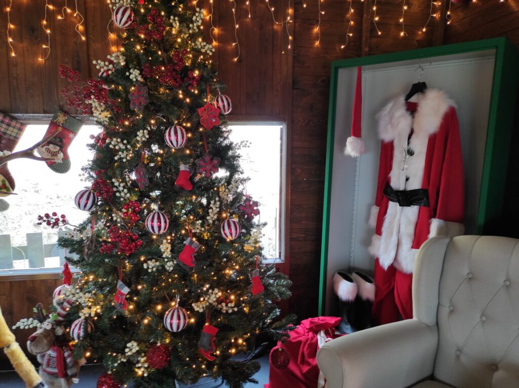 IMG 20221127 102158 2