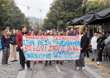 ΣΥΓΚΕΝΤΡΩΣΗ – ΔΙΑΜΑΡΤΥΡΙΑ ΜΑΘΗΤΩΝ ΠΡΑΓΜΑΤΟΠΟΙΗΘΗΚΕ ΣΤΙΣ ΣΕΡΡΕΣ ΜΕΤΑ ΤΟ ΤΡΑΓΙΚΟ ΣΥΜΒΑΝ ΤΟΥ ΘΑΝΑΤΟΥ ΤΟΥ 11ΧΡΟΝΟΥ ΜΑΘΗΤΗ