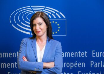 ΑΝΝΑ ΜΙΣΕΛ ΑΣΗΜΑΚΟΠΟΥΛΟΥ : ΟΜΙΛΙΑ ΣΤΟ ΕΥΡΩΚΟΙΝΟΒΟΥΛΙΟ ΓΙΑ ΤΗΝ ΤΟΥΡΚΙΚΗ ΠΡΟΚΛΗΤΙΚΟΤΗΤΑ