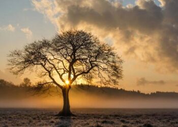 ΚΑΙΡΟΣ: Η ΠΙΟ ΖΕΣΤΗ ΠΡΩΤΟΧΡΟΝΙΑ ΣΤΑ ΧΡΟΝΙΚΑ