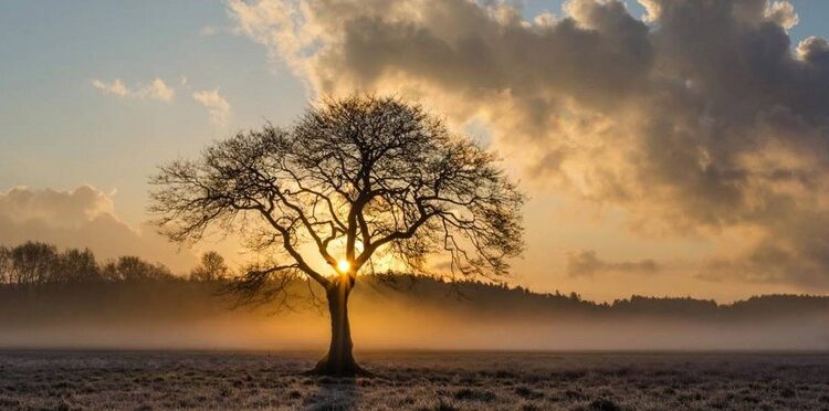 ΚΑΙΡΟΣ: Η ΠΙΟ ΖΕΣΤΗ ΠΡΩΤΟΧΡΟΝΙΑ ΣΤΑ ΧΡΟΝΙΚΑ