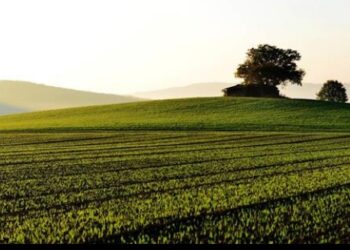 Η ΝΕΑ ΚΑΠ 2023-2027 – ΟΛΕΣ ΟΙ ΑΛΛΑΓΕΣ ΓΙΑ ΤΟΥΣ ΑΓΡΟΤΕΣ