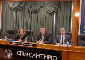 ΑΠΟΣΤΟΛΟΣ ΤΖΙΤΖΙΚΩΣΤΑΣ: ΠΡΩΤΑΓΩΝΙΣΤΙΚΟΣ Ο ΡΟΛΟΣ ΤΗΣ Π.Ε. ΣΕΡΡΩΝ ΣΤΟ ΝΕΟ ΕΣΠΑ