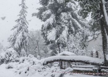 ΤΜΗΜΑ ΠΟΛΙΤΙΚΗΣ ΠΡΟΣΤΑΣΙΑΣ ΤΟΥ ΔΗΜΟΥ ΣΕΡΡΩΝ : ΟΔΗΓΙΕΣ ΑΥΤΟΠΡΟΣΤΑΣΙΑΣ ΑΠΟ ΕΝΤΟΝΑ ΚΑΙΡΙΚΑ ΦΑΙΝΟΜΕΝΑ