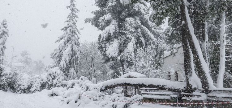 ΤΜΗΜΑ ΠΟΛΙΤΙΚΗΣ ΠΡΟΣΤΑΣΙΑΣ ΤΟΥ ΔΗΜΟΥ ΣΕΡΡΩΝ : ΟΔΗΓΙΕΣ ΑΥΤΟΠΡΟΣΤΑΣΙΑΣ ΑΠΟ ΕΝΤΟΝΑ ΚΑΙΡΙΚΑ ΦΑΙΝΟΜΕΝΑ