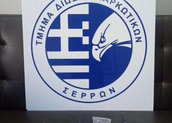 ΣΥΛΛΗΨΗ ΓΙΑ ΝΑΡΚΩΤΙΚΑ ΣΤΙΣ ΣΕΡΡΕΣ