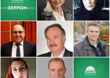ΤΟ ΨΗΦΟΔΕΛΤΙΟ ΤΩΝ ΕΘΝΙΚΩΝ ΕΚΛΟΓΩΝ ΤΟΥ ΠΑΣΟΚ – ΚΙΝΑΛ ΣΤΟ ΝΟΜΟ ΣΕΡΡΩΝ
