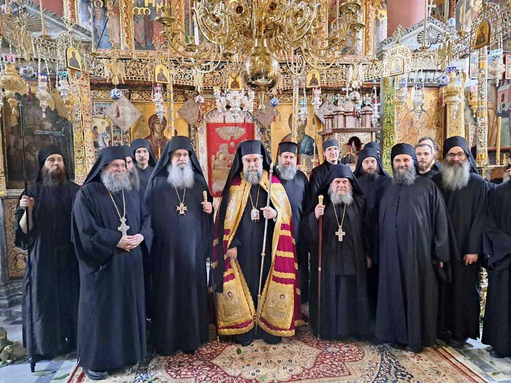 ΙΕΡΑΠΟΔΗΜΙΑ ΤΟΥ Σεβ, ΜΗΤΡΟΠΟΛΙΤΟΥ ΣΕΡΡΩΝ ΚΑΙ ΝΙΓΡΙΤΗΣ κ. ΘΕΟΛΟΓΟΥ ΣΤΟ ΑΓΙΟ ΟΡΟΣ