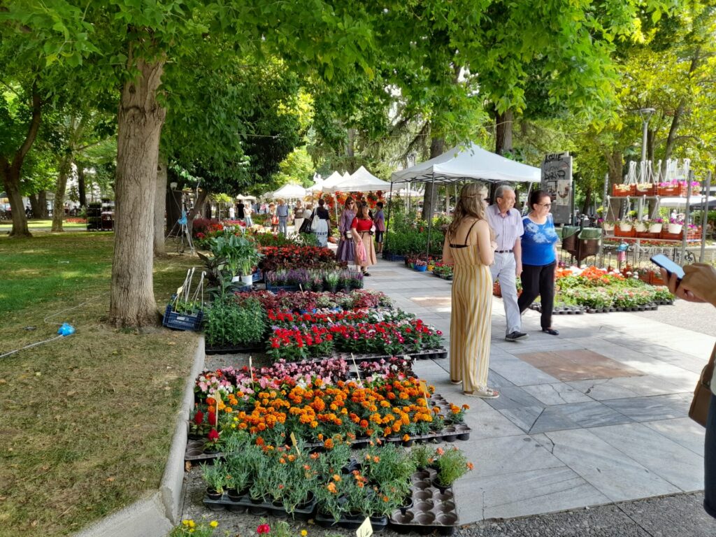 19η ΑΝΘΟΚΟΜΙΚΗ ΕΚΘΕΣΗ ΤΟΥ ΔΗΜΟΥ ΣΕΡΡΩΝ : ΠΑΝΔΑΙΣΙΑ ΧΡΩΜΑΤΩΝ ΚΑΙ ΑΡΩΜΑΤΩΝ ΣΤΙΣ ΣΕΡΡΕΣ 2 20230612 130107 ΑΝΘΟΚΟΜΙΚΗ