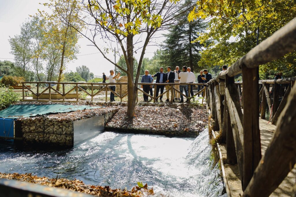 ΤΖΙΤΖΙ ΣΕΡ 2