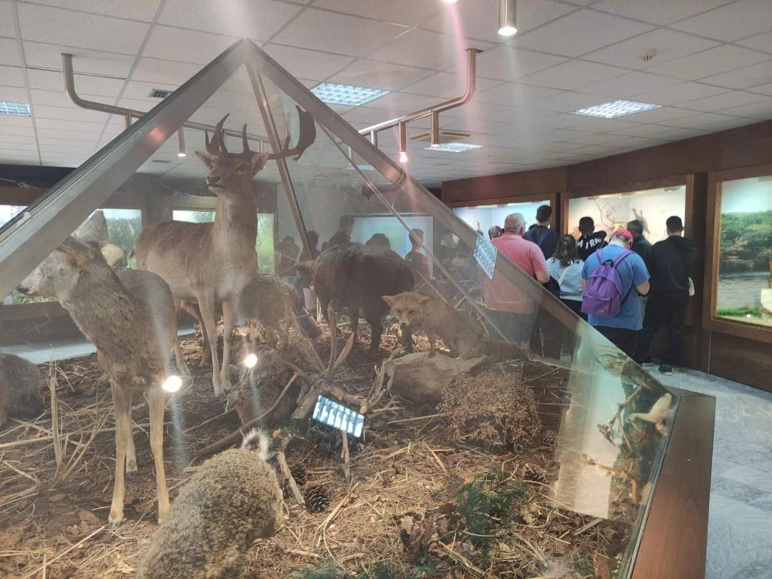 ΕΠΙΣΚΕΨΗ ΜΑΘΗΤΩΝ ΤΟΥ ΕΙΔΙΚΟΥ ΕΠΑΓΓΕΛΜΑΤΙΚΟΥ ΓΥΜΝΑΣΙΟΥ – ΛΥΚΕΙΟΥ ΣΕΡΡΩΝ ΣΤΟ ΜΟΥΣΕΙΟ ΦΥΣΙΚΗΣ ΙΣΤΟΡΙΑΣ ΔΗΜΟΥ ΣΕΡΡΩΝ