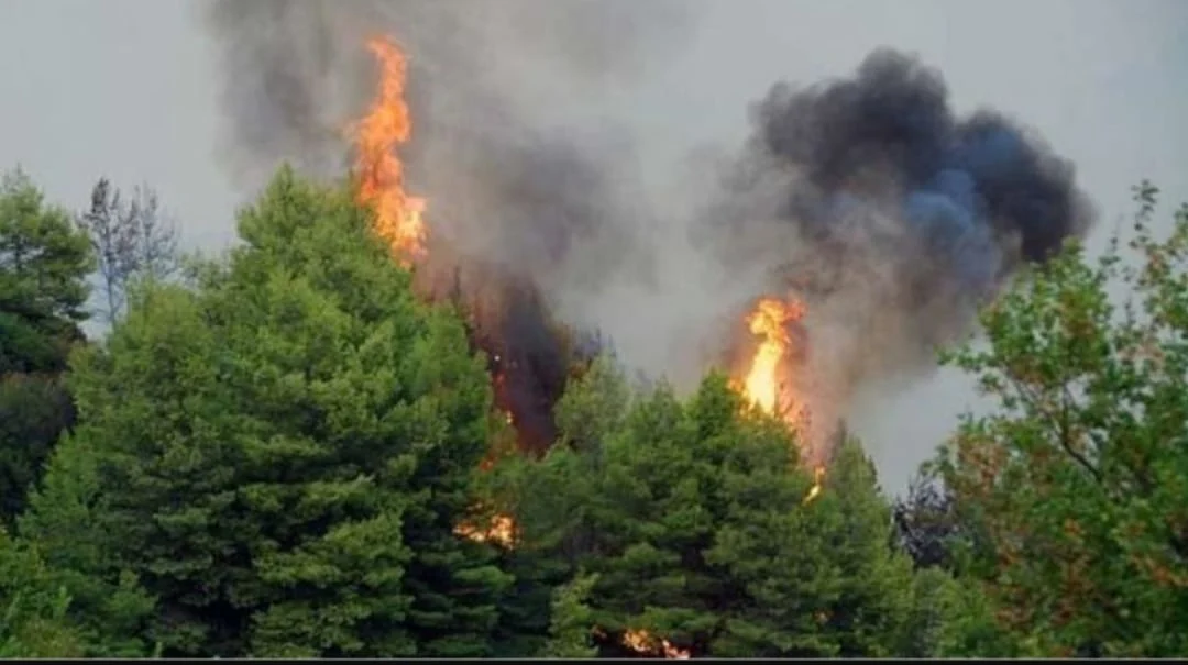 ΑΜΕΣΗ ΕΠΕΜΒΑΣΗ ΚΑΙ ΚΑΤΑΣΒΕΣΗ ΤΗΣ ΠΥΡΚΑΓΙΑΣ ΣΤΟ ΓΑΖΩΡΟ ΤΟΥ ΔΗΜΟΥ ΝΕΑΣ ΖΙΧΝΗΣ