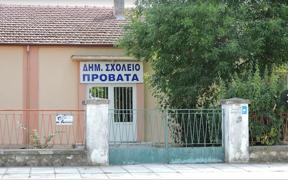 ΑΝΑΣΤΟΛΗ ΛΕΙΤΟΥΡΓΙΑΣ ΤΟΥ ΔΗΜΟΤΙΚΟΥ ΣΧΟΛΕΙΟΥ ΠΡΟΒΑΤΑ ΔΗΜΟΥ ΣΕΡΡΩΝ ΛΟΓΩ ΠΤΩΣΕΩΝ ΣΟΒΑΔΩΝ ΑΠΟ ΤΗΝ ΟΡΟΦΗ