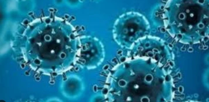 ΕΟΔΥ: ΕΠΑΓΡΥΠΝΗΣΗ ΣΤΗΝ ΧΩΡΑ ΓΙΑ ΤΟΝ Mpox (ΕΥΛΟΓΙΑ ΤΩΝ ΠΙΘΗΚΩΝ)