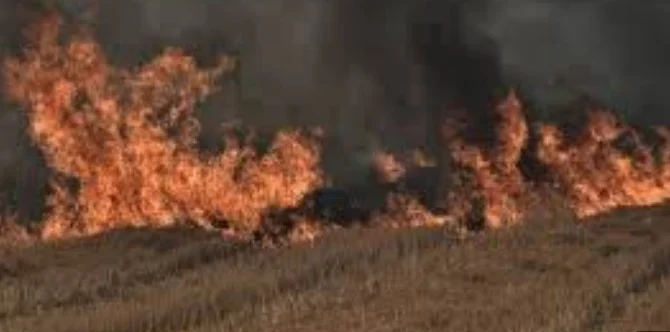 ΔΗΜΟΣ ΣΕΡΡΩΝ: ΑΠΟΦΥΓΗ ΚΑΥΣΗΣ ΓΕΩΡΓΙΚΩΝ ΥΠΟΛΕΙΜΜΑΤΩΝ ΛΟΓΩ ΑΝΕΜΩΝ