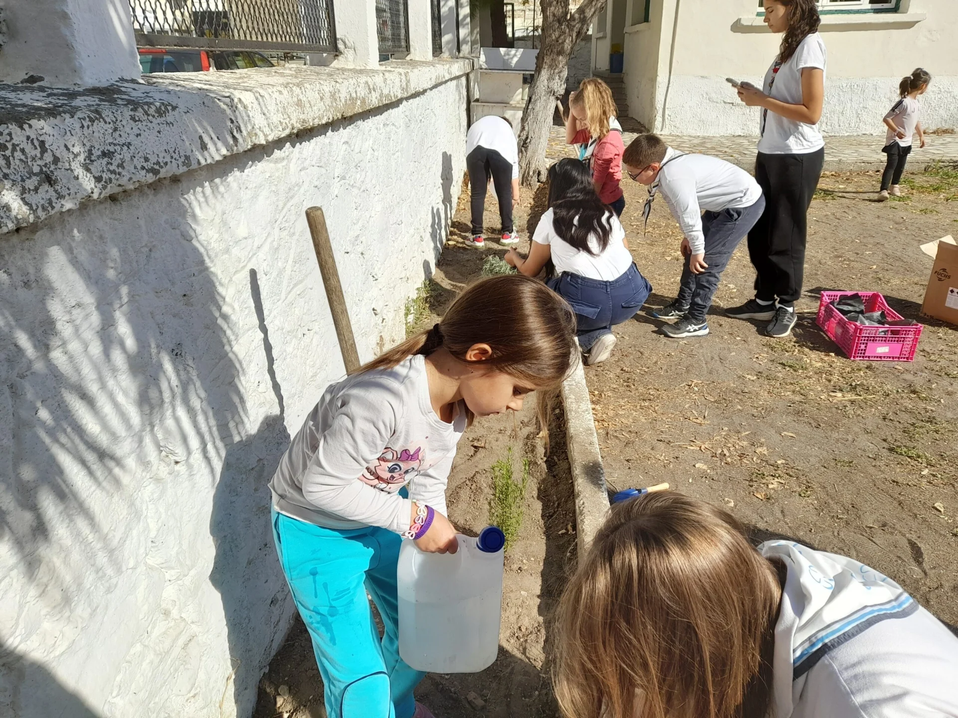 20241102 120758 ΣΕΟ scaled