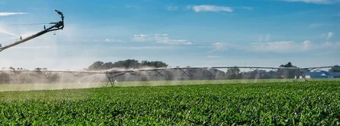 ΕΠΙΣΤΟΛΗ ΤΟΥ ΠΡΟΕΔΡΟΥ ΤΟΥ ΤΟΕΒ ΝΙΓΡΙΤΑΣ ΠΡΟΣ ΤΟΝ ΥΠΟΥΡΓΟ ΑΓΡΟΤΙΚΗΣ ΑΝΑΠΤΥΞΗΣ ΚΑΙ ΤΡΟΦΙΜΩΝ