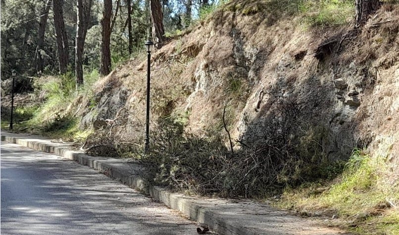 ΤΑ ΧΟΡΤΑ «ΠΝΙΓΟΥΝ» ΔΗΜΟΣΙΟΥΣ ΧΩΡΟΥΣ ΣΤΗΝ ΠΟΛΗ ΤΩΝ ΣΕΡΡΩΝ