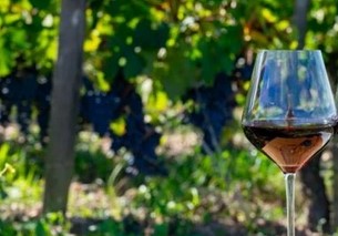 ΠΡΟΩΘΗΣΗ ΤΟΥ ΕΛΛΗΝΙΚΟΥ ΟΙΝΟΥ ΣΤΗΝ ΕΥΡΩΠΗ ΜΕ ΤΟ ΑΝΟΙΓΜΑ ΝΕΩΝ ΑΓΟΡΩΝ 2 ΠΡΟΩΘΗΣΗ ΤΟΥ ΕΛΛΗΝΙΚΟΥ ΟΙΝΟΥ ΣΤΗΝ ΕΥΡΩΠΗ ΜΕ ΤΟ ΑΝΟΙΓΜΑ ΝΕΩΝ ΑΓΟΡΩΝ