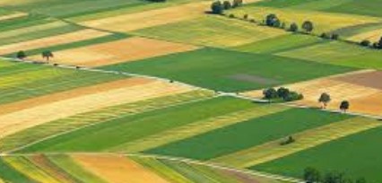 ΕΠΙΣΤΟΛΗ ΓΙΑ ΤΗΝ ΑΔΥΝΑΜΙΑ ΕΦΑΡΜΟΓΗΣ ΑΤΑΚ ΣΕ ΔΗΛΩΣΕΙΣ ΟΣΔΕ ΣΤΟ ΝΟΜΟ ΣΕΡΡΩΝ