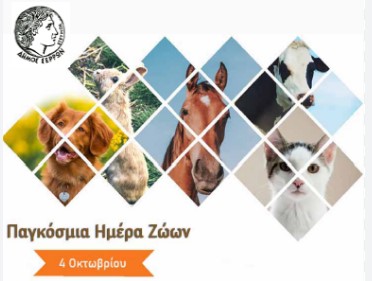 ΠΑΓΚΟΣΜΙΑ ΗΜΕΡΑ ΤΩΝ ΖΩΩΝ: ΕΚΔΗΛΩΣΗ ΣΤΙΣ ΣΕΡΡΕΣ ΓΙΑ ΤΟΥΣ ΜΑΘΗΤΕΣ ΚΑΙ ΜΑΘΗΤΡΙΕΣ 6 ΠΑΓΚΟΣΜΙΑ ΗΜΕΡΑ ΤΩΝ ΖΩΩΝ: ΕΚΔΗΛΩΣΗ ΣΤΙΣ ΣΕΡΡΕΣ ΓΙΑ ΤΟΥΣ ΜΑΘΗΤΕΣ ΚΑΙ ΜΑΘΗΤΡΙΕΣ