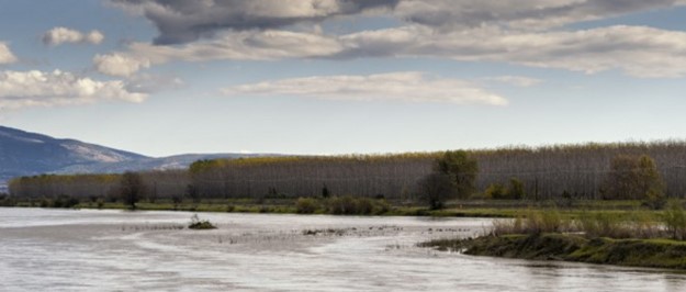 ΝΕΚΡΟΣ ΑΝΑΣΥΡΘΗΚΕ ΨΑΡΑΣ ΣΤΑ ΝΕΑ ΚΕΡΔΥΛΛΙΑ ΤΟΥ ΔΗΜΟΥ ΑΜΦΙΠΟΛΗΣ